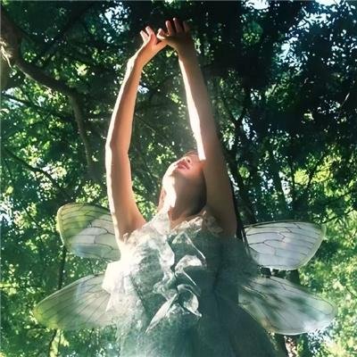 布劳涅森林的女人们